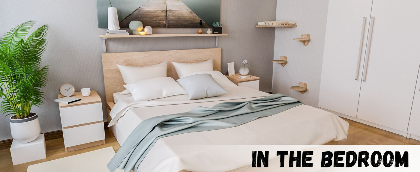 Modern bedroom with a bed, nightstands, and cat wall bed with 3 steps