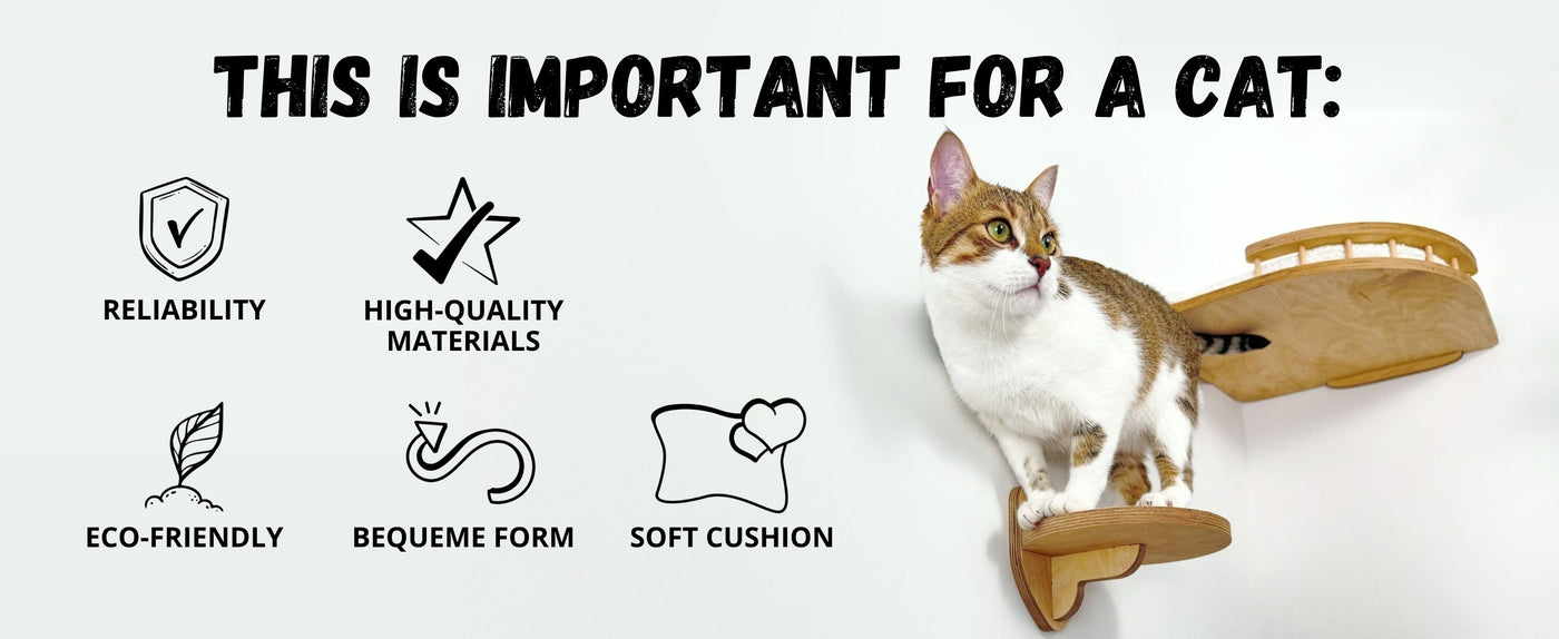 Cat sitting on a wooden shelf with product features listed on a white background