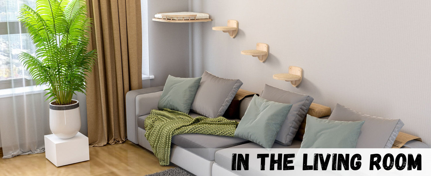 Living room with a gray sofa, green cushions, and cat wall furniture