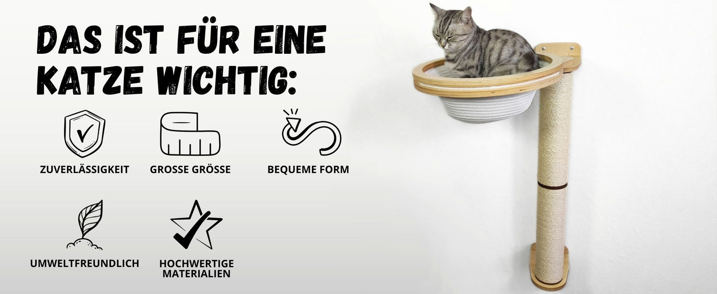 katzenmöbel