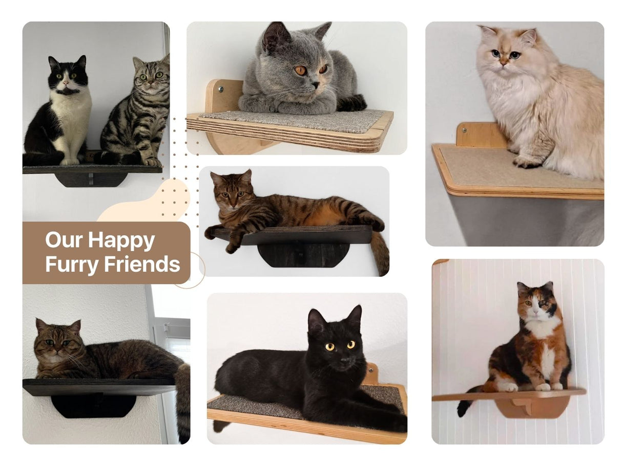 Cat wall shelves with cats