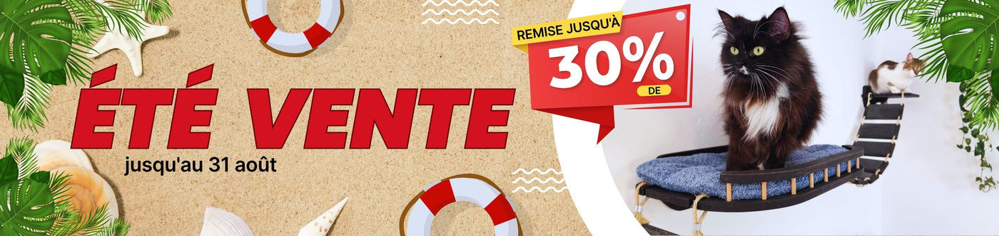 Promotional banner with a cat, 'Été Vente' text, and discount offer on a beige background.