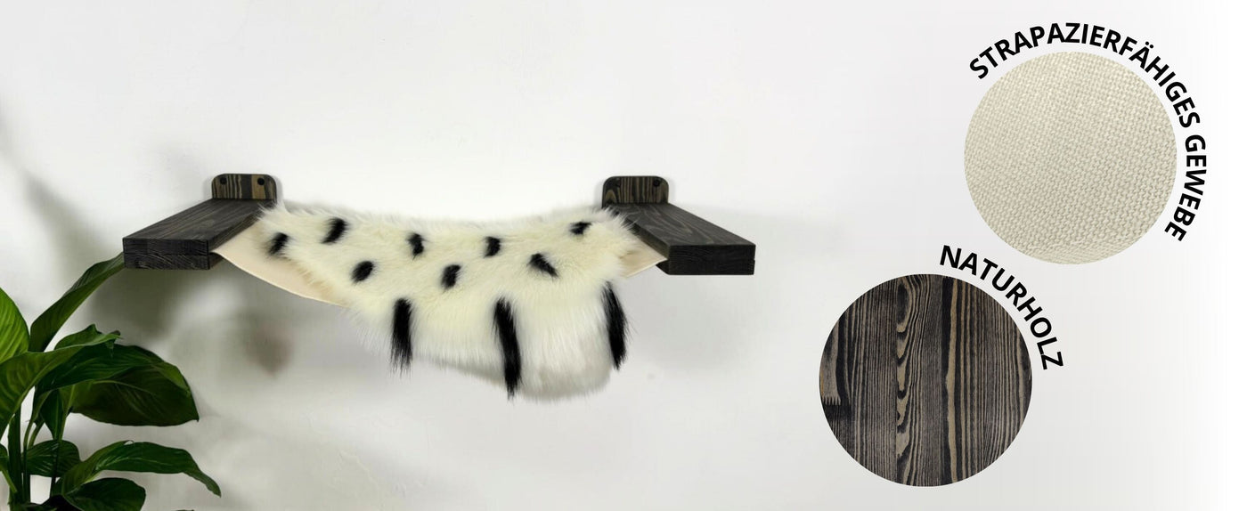 katze hängematte