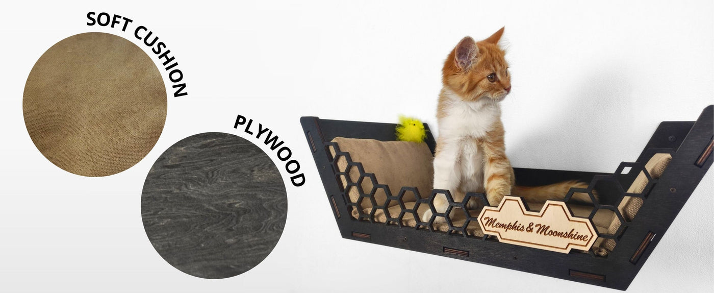 cat shelves walls