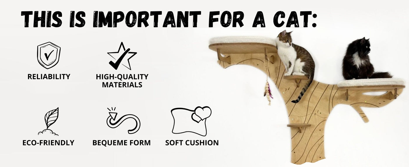 Wooden cat shelf with cats on it, featuring icons and text about important aspects for a cat.