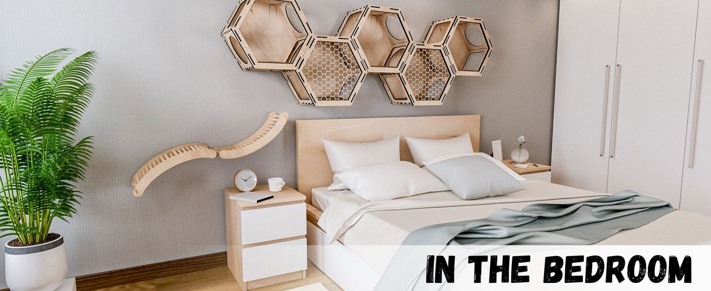 Modern bedroom with a bed, nightstands, and cat wall bed