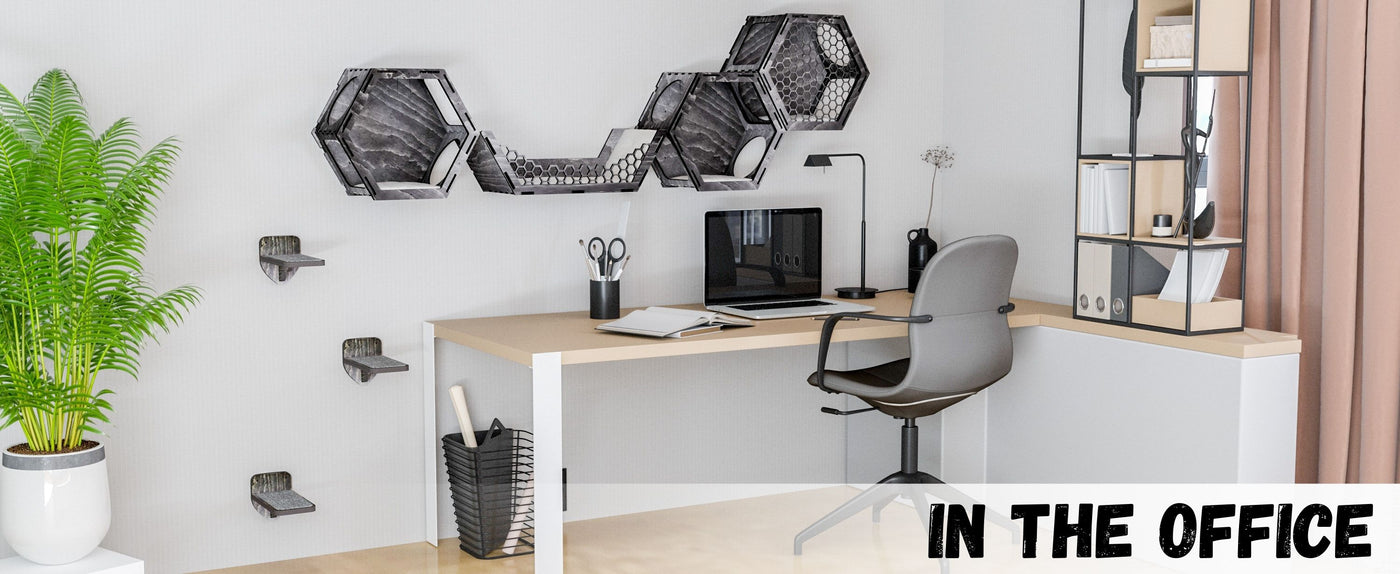 Modern office setup with a desk, chair, and cat wal-mounted shelves.