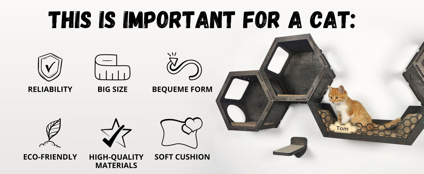 Cat furniture with features highlighted for a cat, including reliability, size, form, eco-friendliness, materials, and cushion quality.