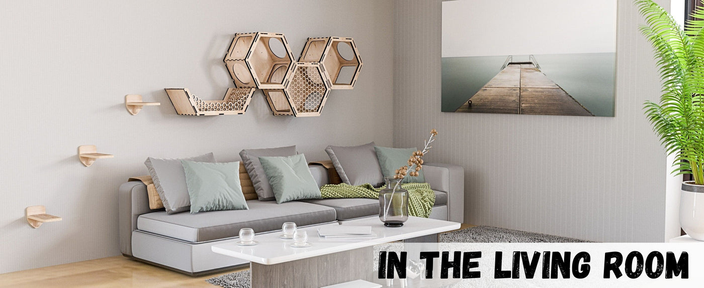 Modern living room with a gray sofa, coffee table, and cat wall perch.