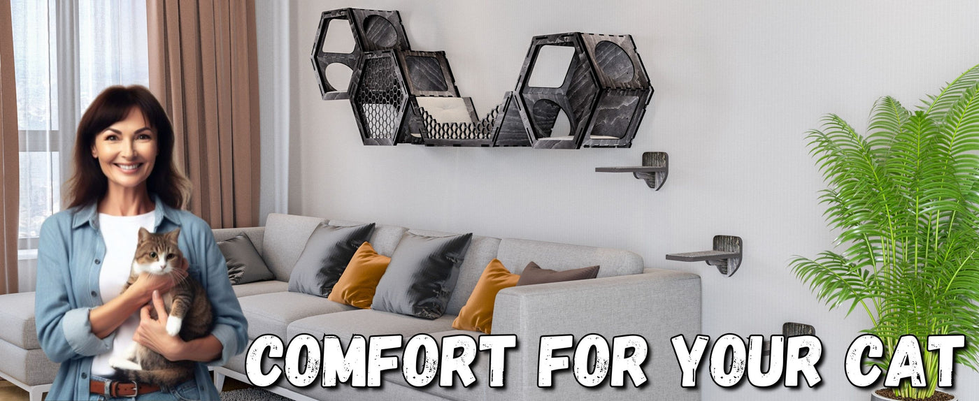 Woman holding a cat in a living room with text 'Comfort for your cat' with cat wall mounted shelves
