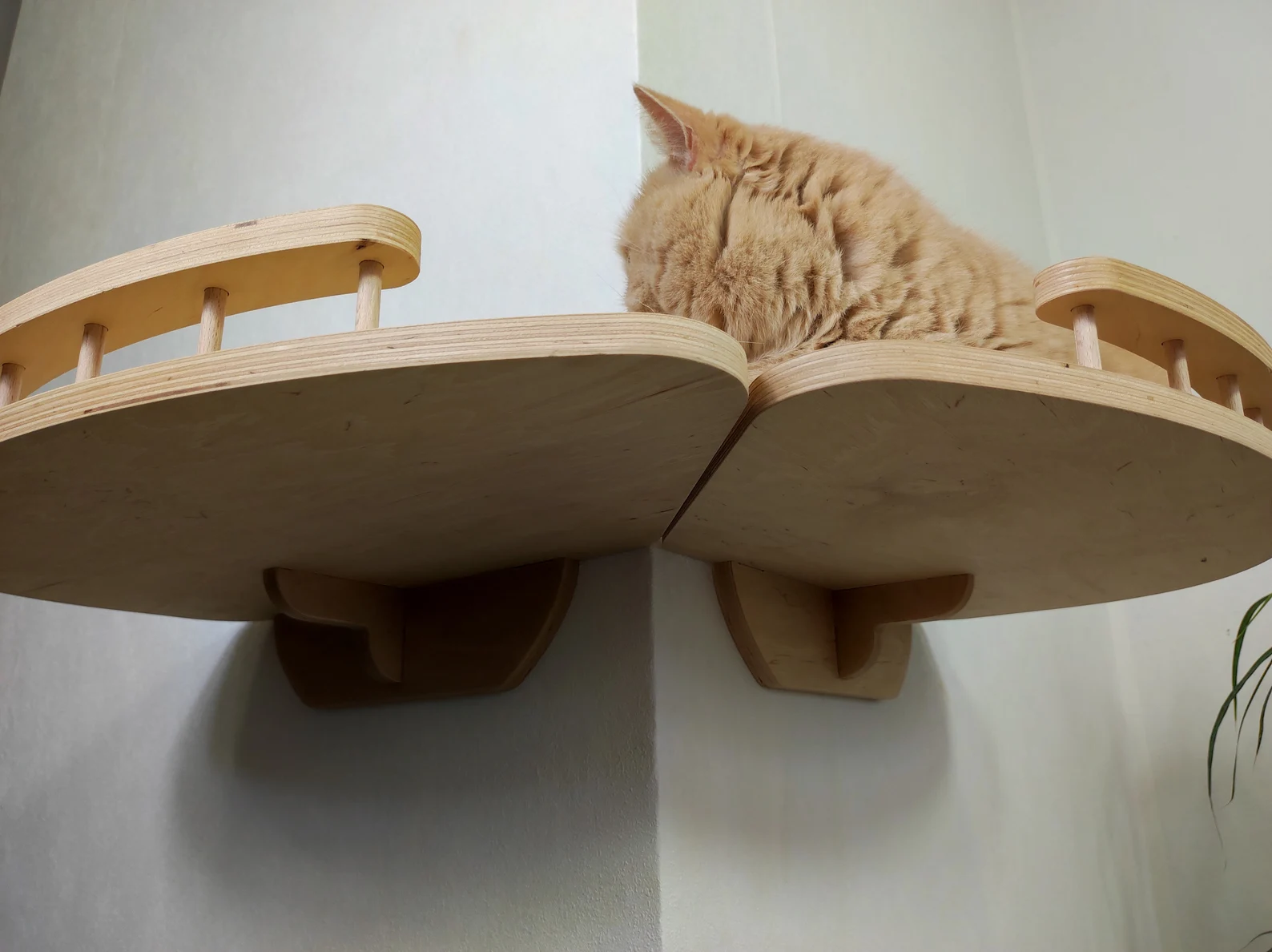 Floating cat bed - Light