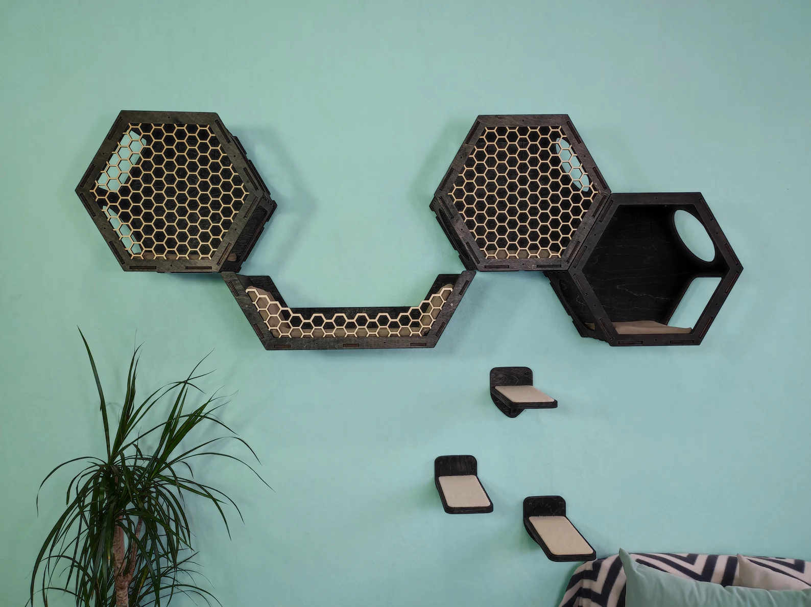 Set of cat shelves on the wall