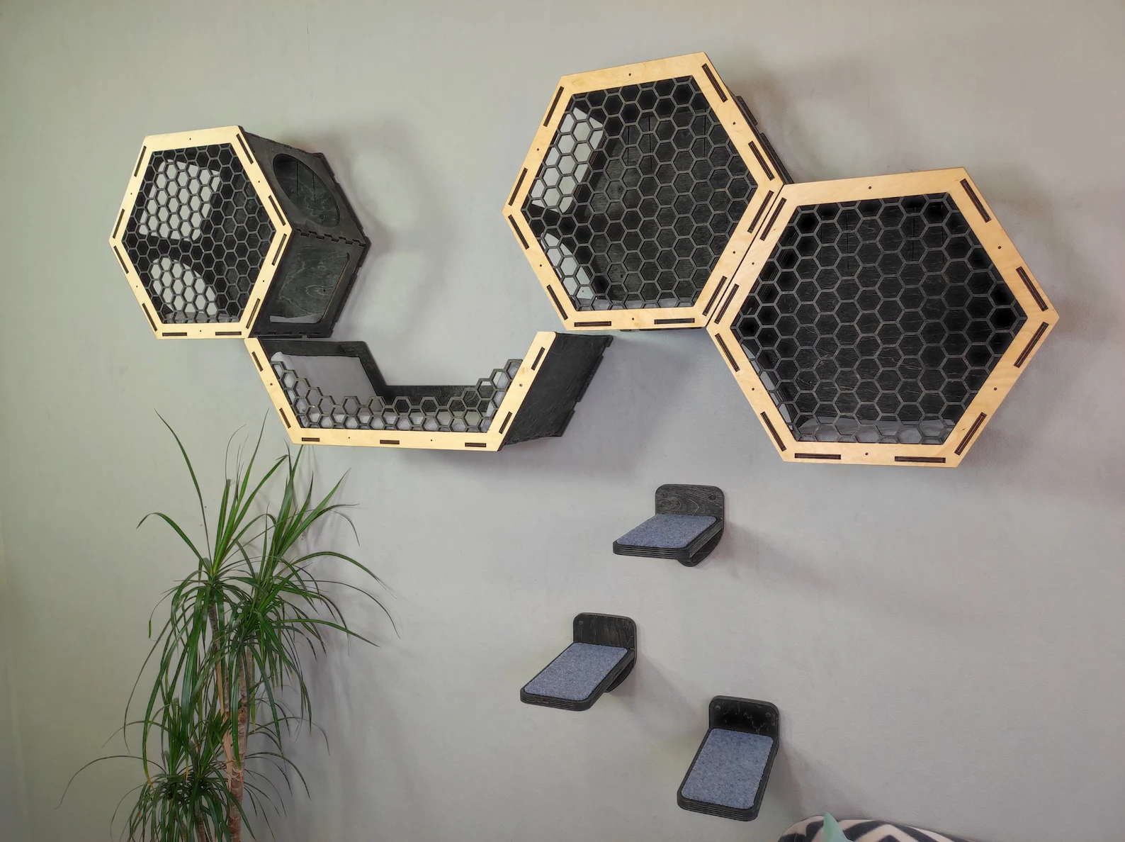 Wall shelves for cats in the form of hexagons