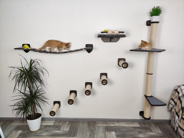 Wall-Mounted Cat Climbing Set - dark color