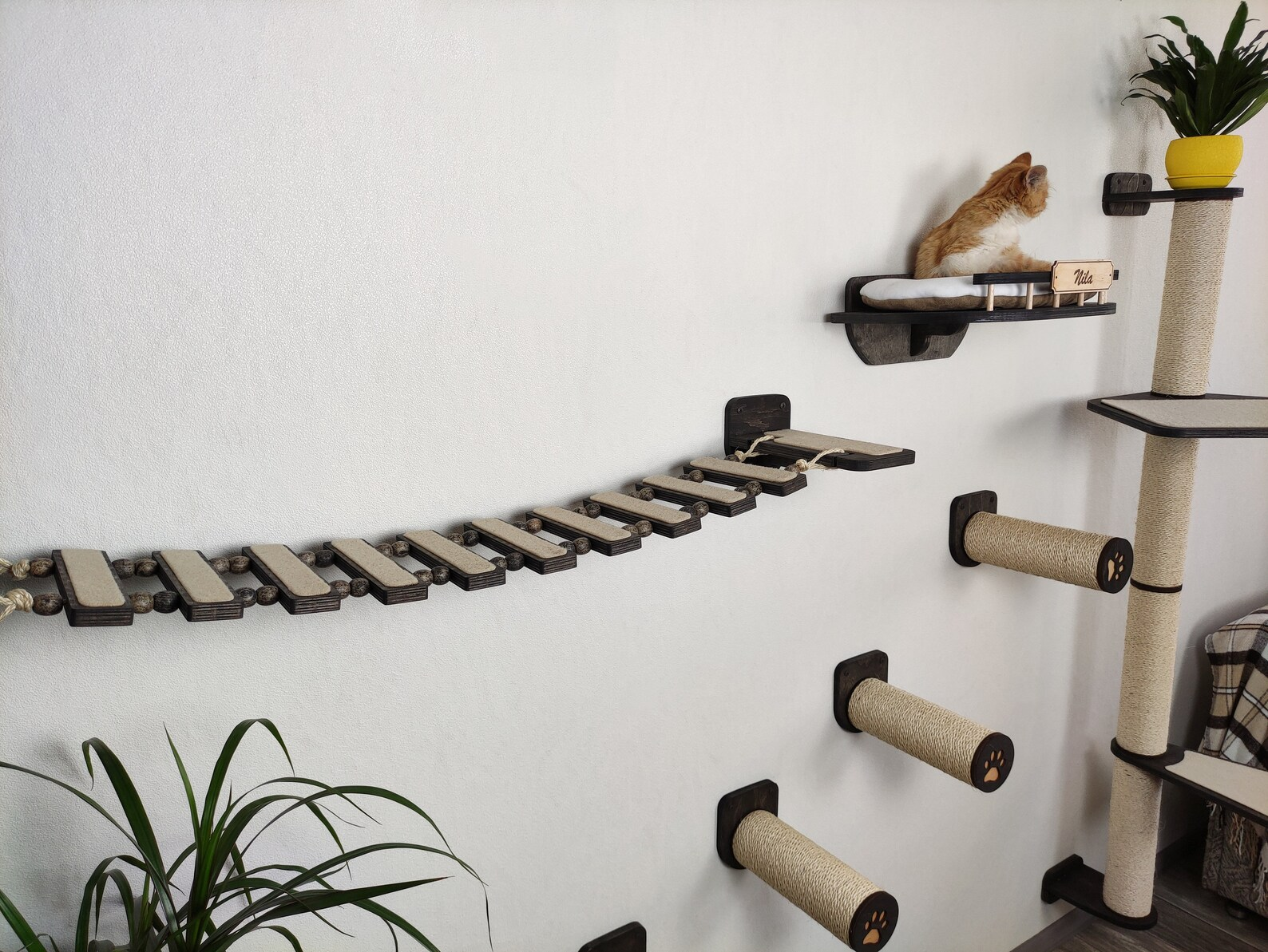 Cat wall furniture / Cat scratching post // Modern design by RshPets - Dark