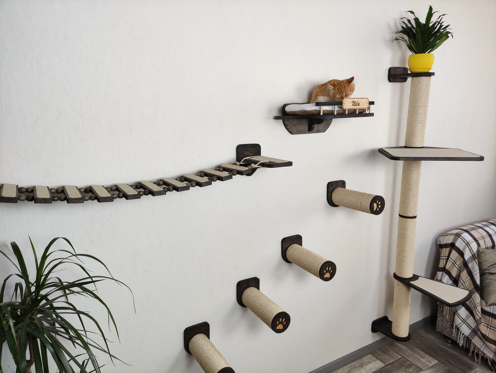 Cat wall furniture / Cat scratching post // Modern design by RshPets - Dark