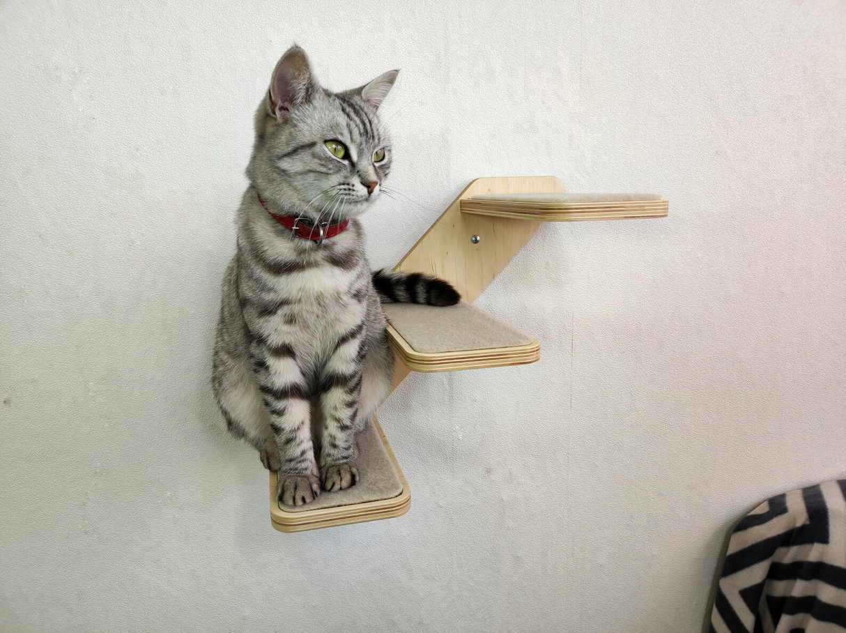 Cat wall ladder with steps, Cat wall steps