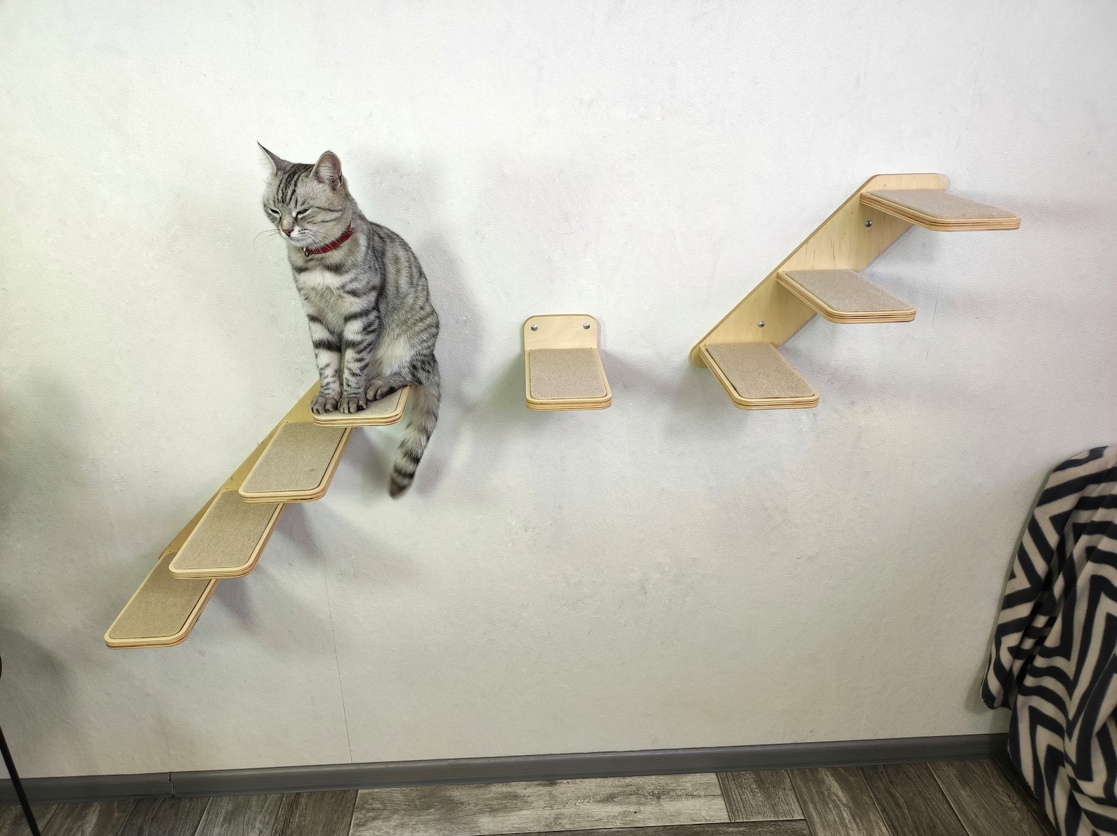 Cat wall steps