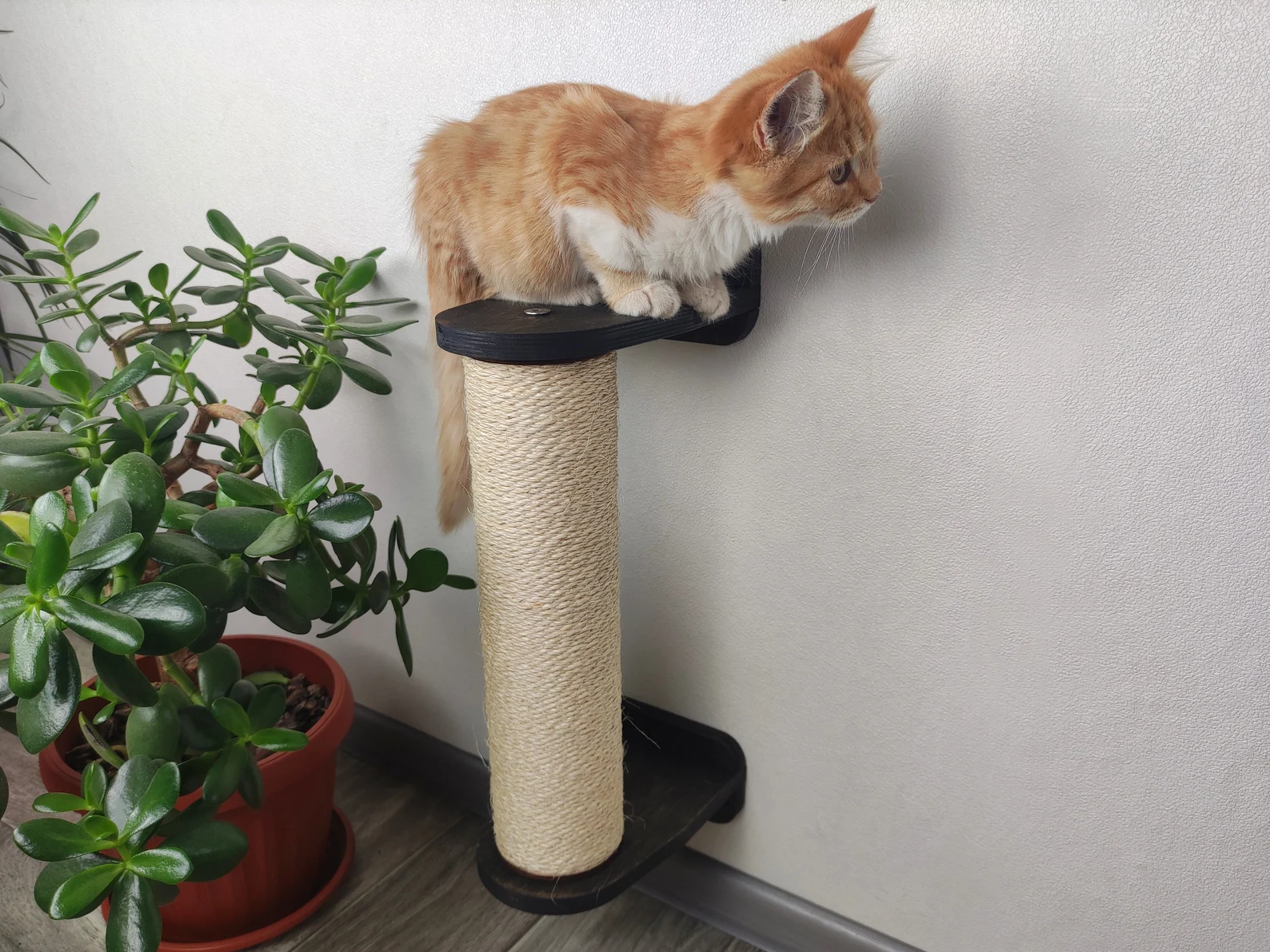 Cat modern tree - wall mounted