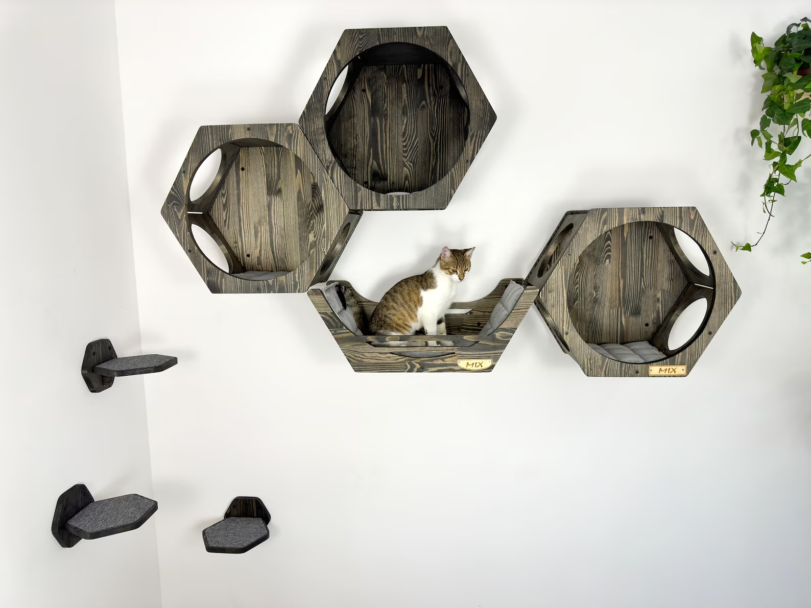 Wall shelves for cats - Natural