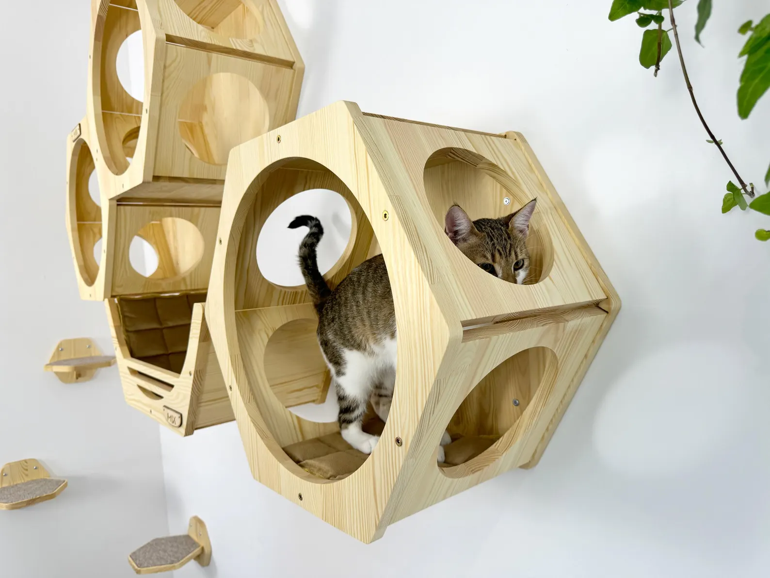 Wall shelves for cats - Natural