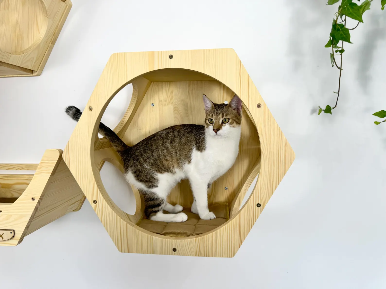 Wall shelves for cats - Natural