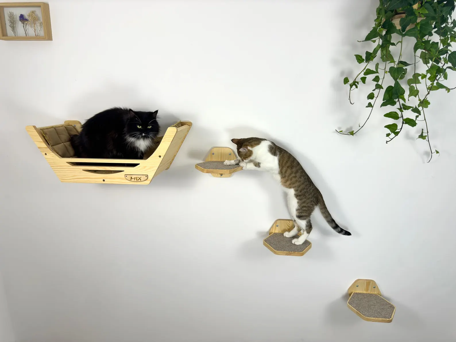 Cat wall shelves and steps - Natural