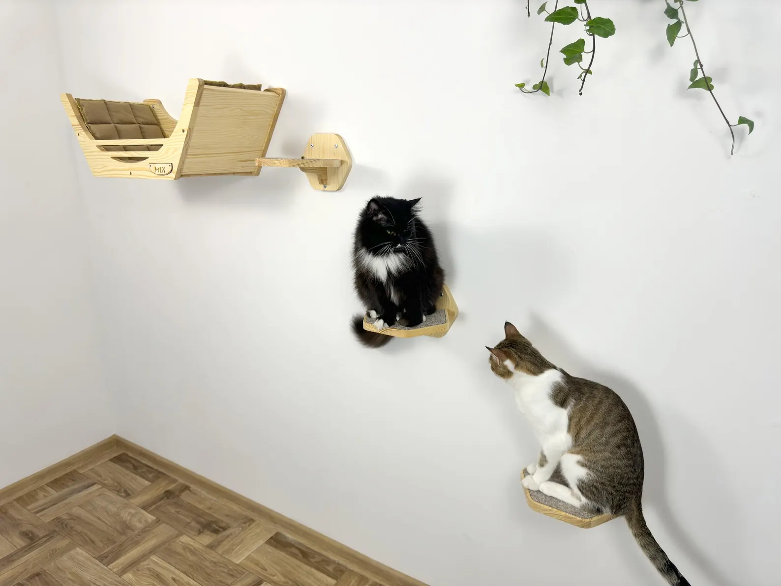 Cat wall shelves and steps - Natural