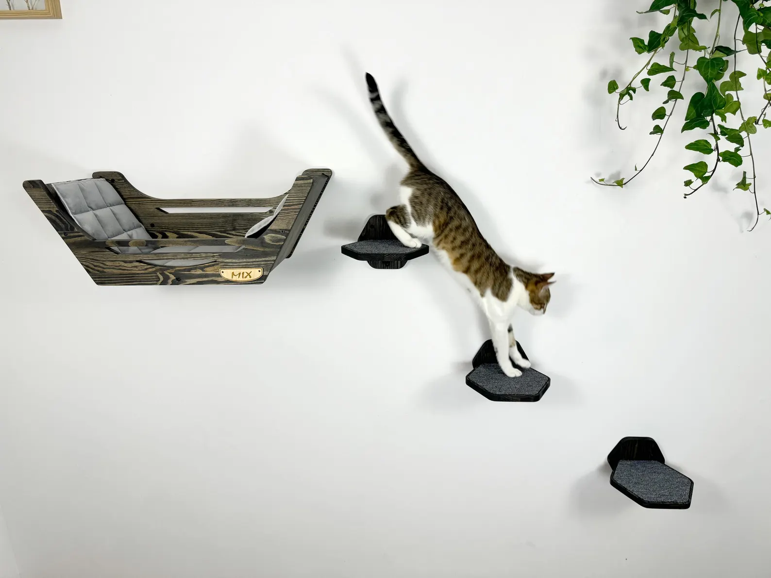 Cat wall furniture, Cat bed and Cat Steps - Dark