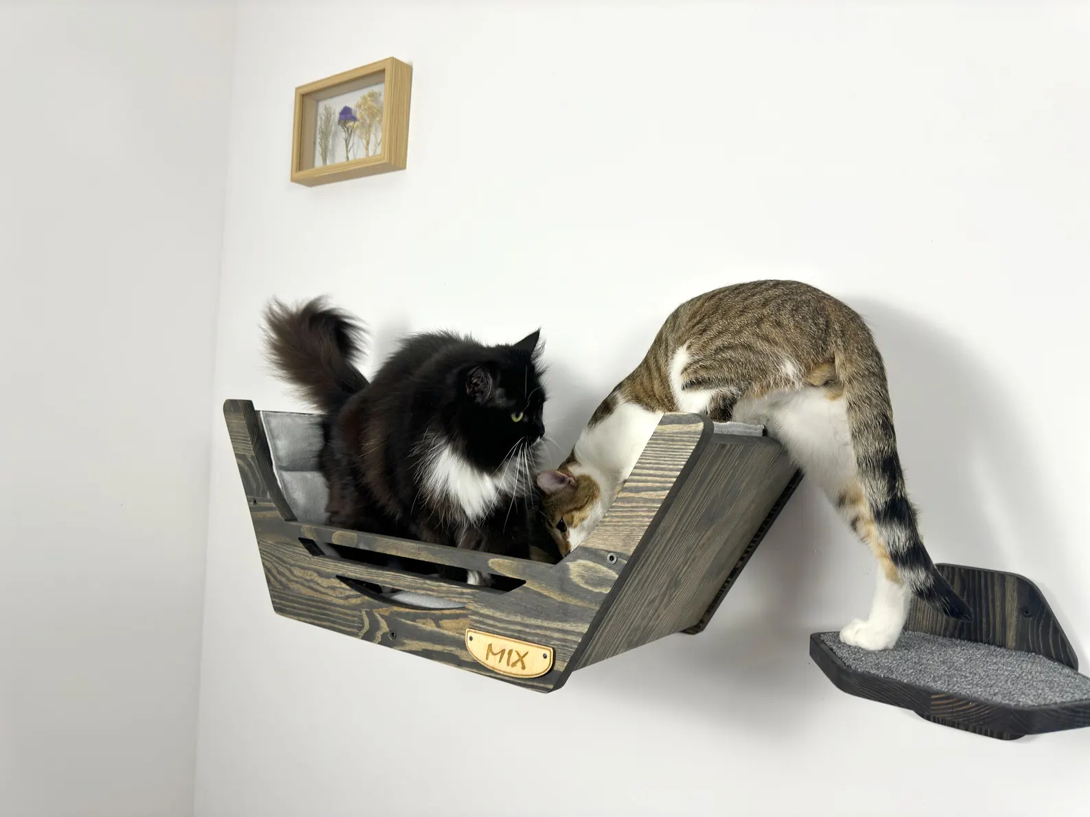 Cat wall shelves and steps - Natural