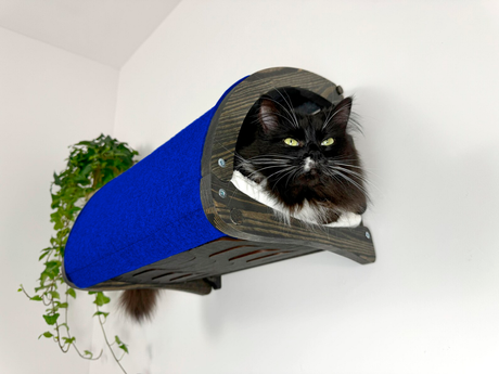 Black cat inside a blue and gray pet bed against a white wall.