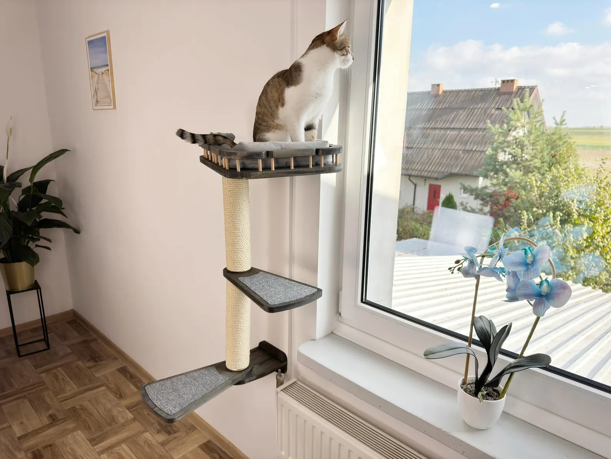 Cat window perch, Cat condo, Cat wall tree, Universal furniture set for curious cats