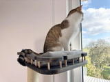 Cat window perch, Cat condo, Cat wall tree, Universal furniture set for curious cats