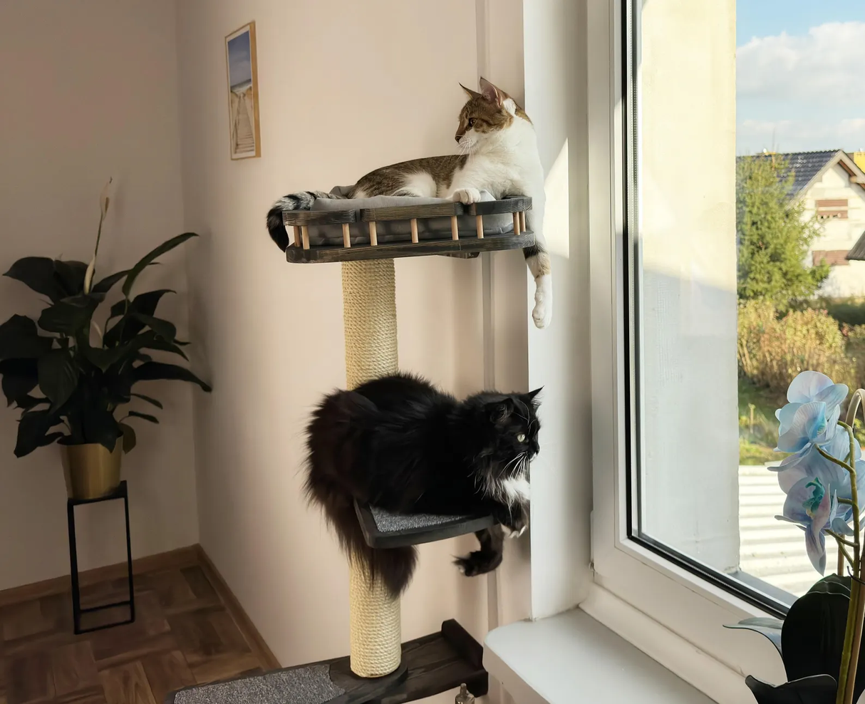 Cat window perch, Cat condo, Cat wall tree, Universal furniture set for curious cats