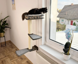 Cat window perch, Cat condo, Cat wall tree, Universal furniture set for curious cats