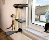 Cat window perch, Cat condo, Cat wall tree, Universal furniture set for curious cats