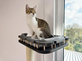 Cat window perch, Cat condo, Cat wall tree, Universal furniture set for curious cats