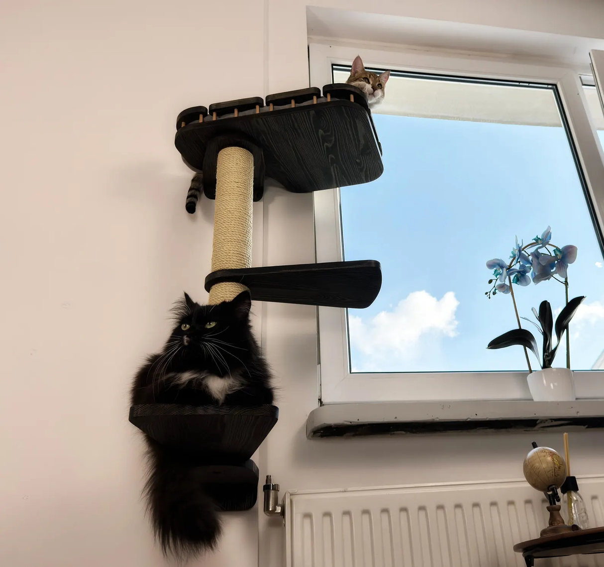 Cat Window Scratching Pole