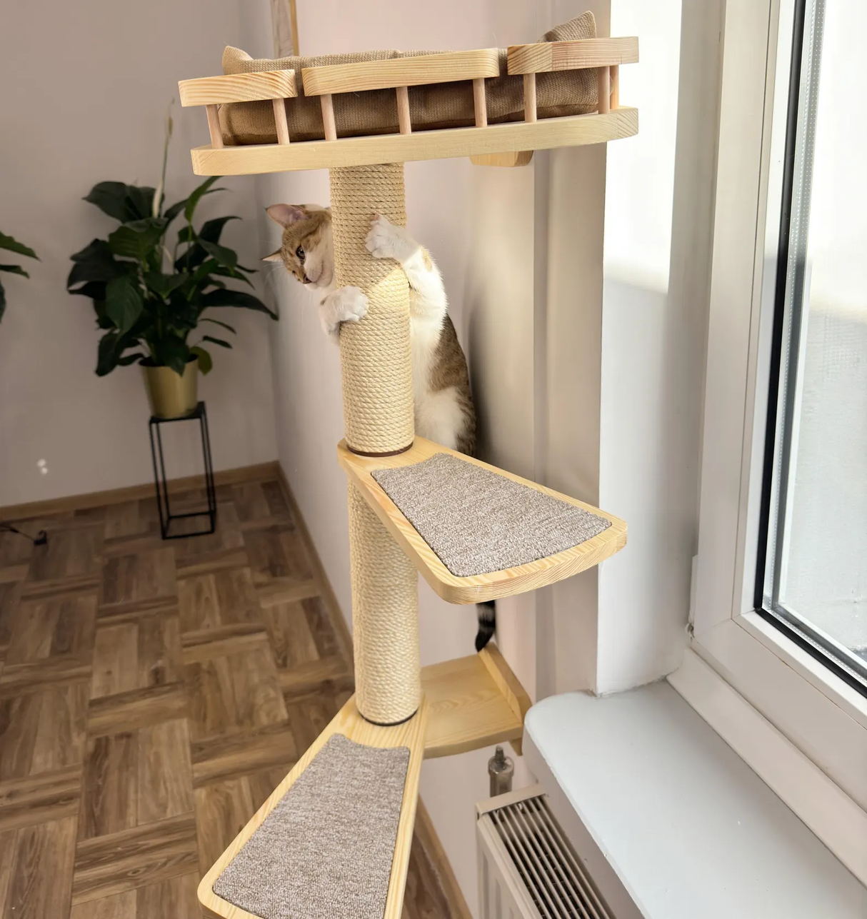 Cat window perch, Cat condo, Cat wall tree, Universal furniture set for curious cats