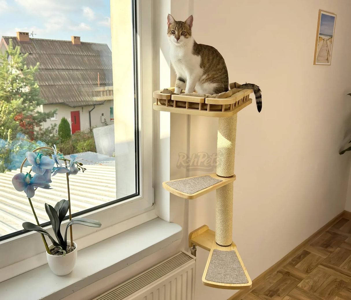 Cat window perch, Cat condo, Cat wall tree, Universal furniture set for curious cats