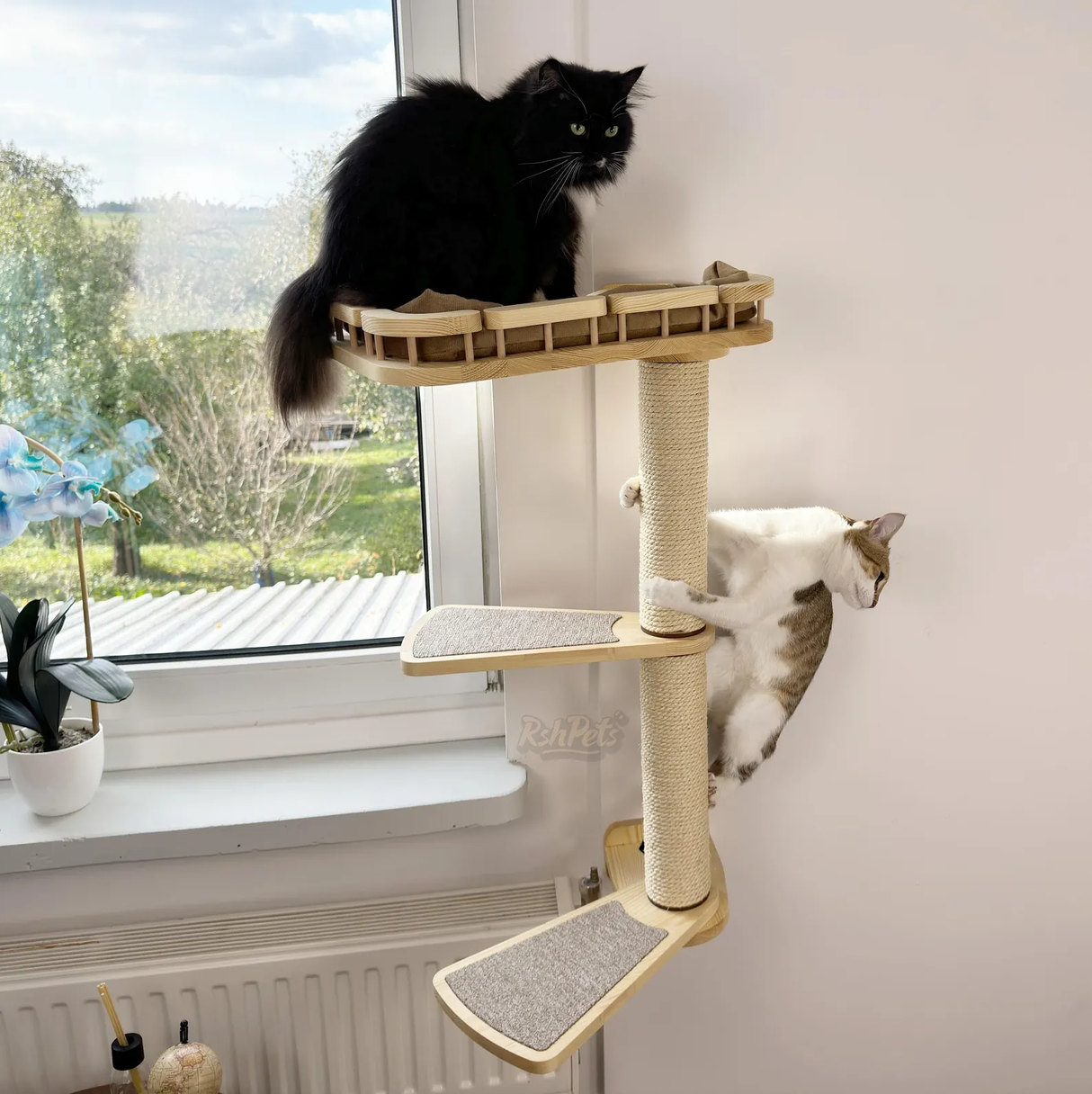 Cat window perch, Cat condo, Cat wall tree, Universal furniture set for curious cats