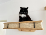 Cat Wall Mounted Large Shelf, Cat wall bed with cushion