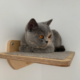 Cat wall furniture, Flat shelf for cats, Cat perch, Cat steps