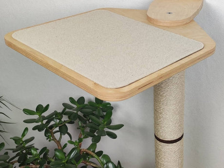 cat wall shelves