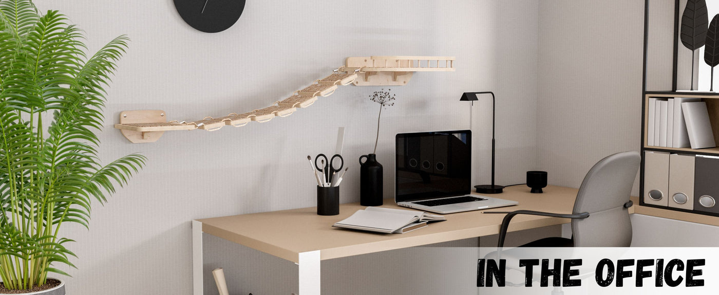 Modern office desk with computer, lamp, and plant