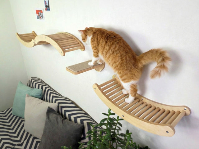 wall shelves for cats