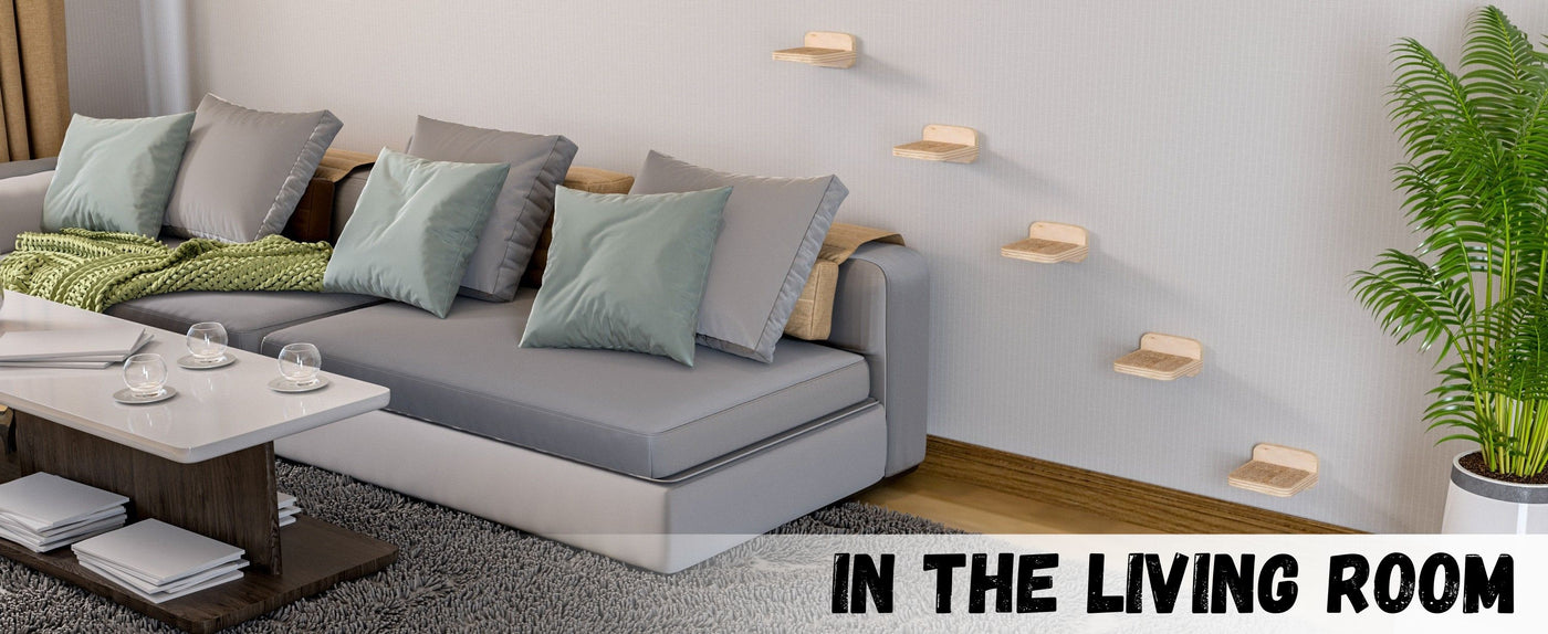 Modern living room with a gray sectional sofa, coffee table, and cat wall furniture