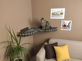 Cat on a cat shelf with a plant and sofa in a room.