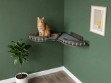 Cat sitting on a wall-mounted cat shelf against a green wall with a plant and framed picture.