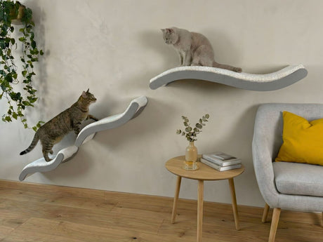 Two cats on wall-mounted cat shelves in a living room with a sofa and small table.